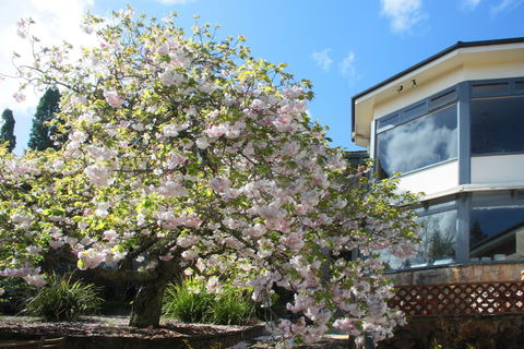 Nesuto Leura Gardens - Whitsundays Accommodation 1
