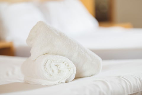 Garden Lodge Sydney - Whitsundays Accommodation 4