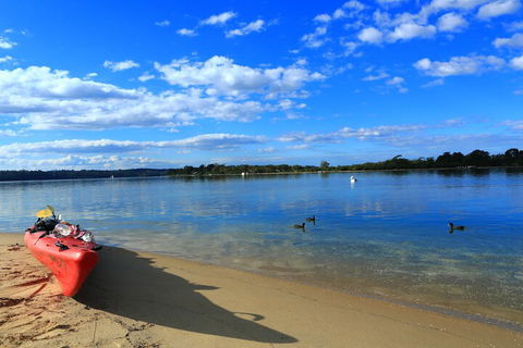 Absolute Lakes Entrance - Whitsundays Accommodation 1