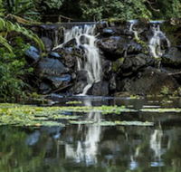 Kondalilla Eco Resort - Whitsundays Accommodation