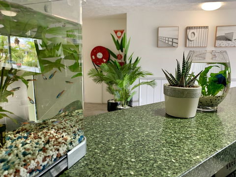 Outrigger Burleigh - Whitsundays Accommodation 6