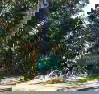 Byron Bay Rainforest Resort - Whitsundays Accommodation