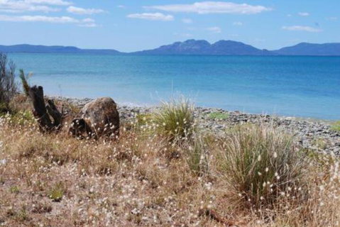 Schouten House - Whitsundays Accommodation 1