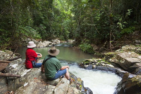 Rose Gums Wilderness Retreat - Whitsundays Accommodation 1