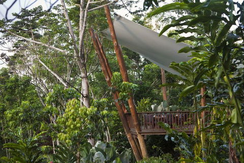 Rose Gums Wilderness Retreat - Whitsundays Accommodation 2