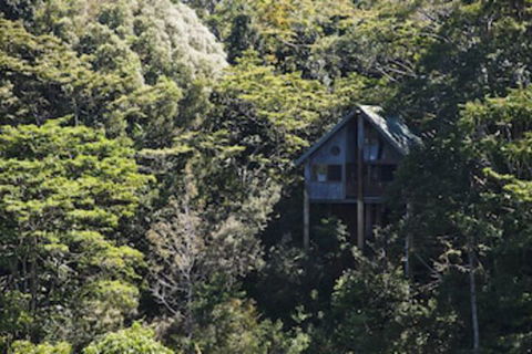 Rose Gums Wilderness Retreat - Whitsundays Accommodation 0