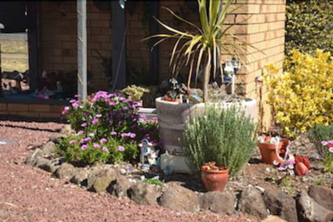 Sunray Motor Inn - Whitsundays Accommodation 6