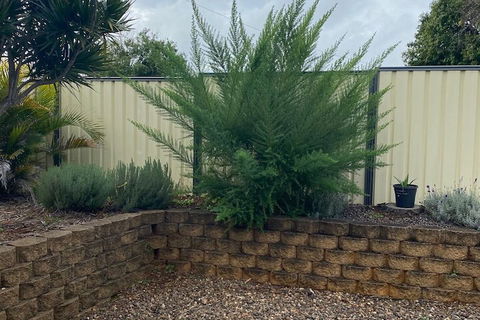 Sunray Motor Inn - Whitsundays Accommodation 4