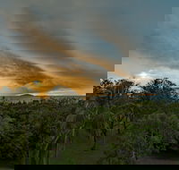 Ocean International - Whitsundays Accommodation