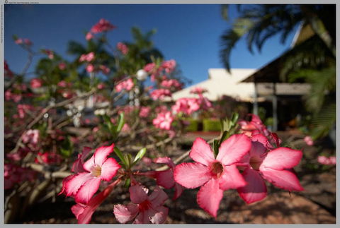 Seashells Broome - Whitsundays Accommodation 4