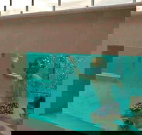 Novotel Brisbane Airport - Whitsundays Accommodation