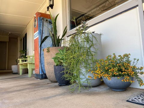 Ben Hall Motor Inn - Whitsundays Accommodation 5