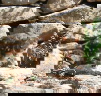 Jenolan Caves House - Whitsundays Accommodation