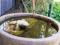 Hope Cottage Country Retreat - Whitsundays Accommodation 4