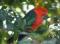 Hope Cottage Country Retreat - Whitsundays Accommodation 2