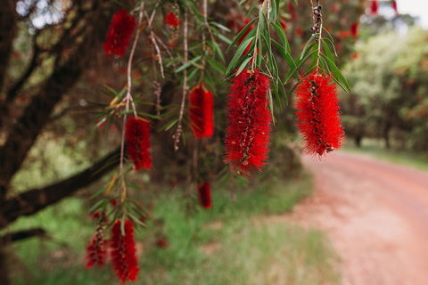 Margaret River Holiday Cottages - Whitsundays Accommodation 2