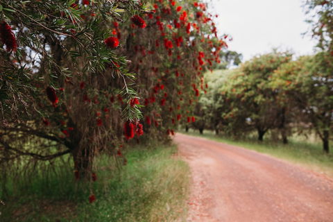 Margaret River Holiday Cottages - Whitsundays Accommodation 1