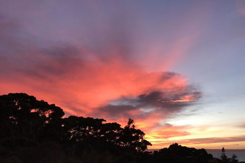 Sunrise On Falie - Whitsundays Accommodation 2