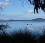 Lilacs Waterfront Villas  Cottages - Whitsundays Accommodation