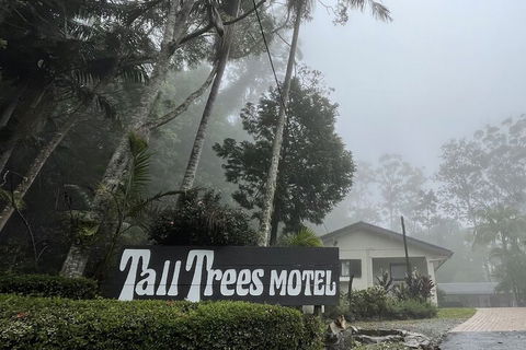 Tall Trees Motel - Whitsundays Accommodation 4