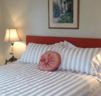 Every Man  His Dog Vineyard - Whitsundays Accommodation