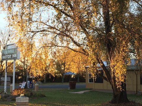 Guyra Motor Inn - Whitsundays Accommodation 1