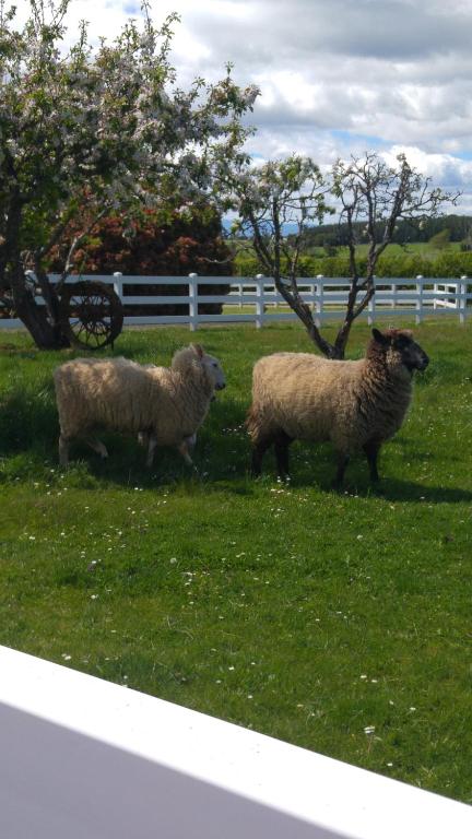 Little Sunnyside Accommodation - Whitsundays Accommodation 5