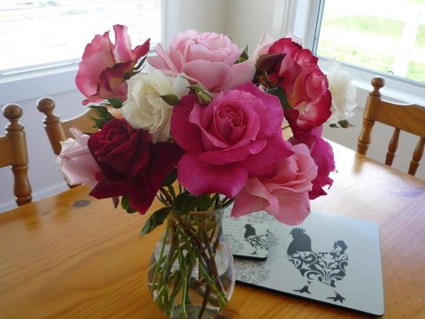 Little Sunnyside Accommodation - Whitsundays Accommodation 2