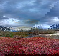Saintys Creek Cottage - Whitsundays Accommodation