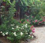 Maldons Eaglehawk Motel - Whitsundays Accommodation