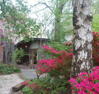 Rocky Creek Art Garden BB - Whitsundays Accommodation