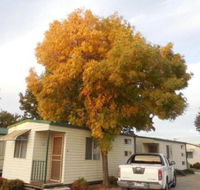 Wodonga Caravan  Cabin Park - Whitsundays Accommodation