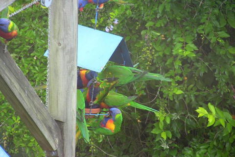 A Lakehouse Escape - Whitsundays Accommodation 4