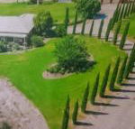 Gaerwood B  B - Whitsundays Accommodation