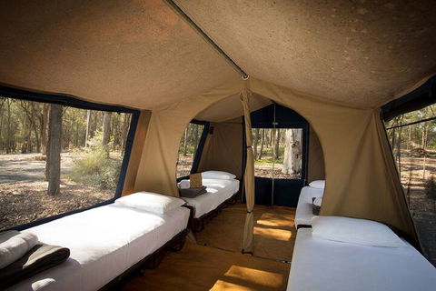 Paradise Country Farmstay - Whitsundays Accommodation 6