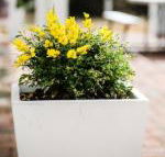 Esperance Coastal Retreat - Whitsundays Accommodation