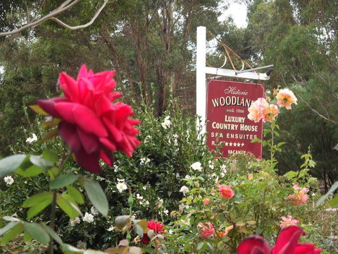 Woodlands Of Bridgetown B & B - Whitsundays Accommodation 5