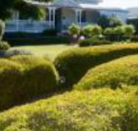 Whiskey Gully Wines - Whitsundays Accommodation