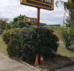 Golden West Motor Inn - Whitsundays Accommodation