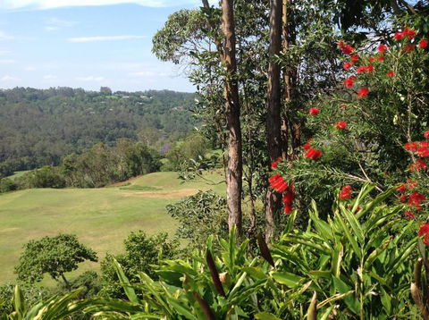 The Avenue At Montville Cottage - Whitsundays Accommodation 5