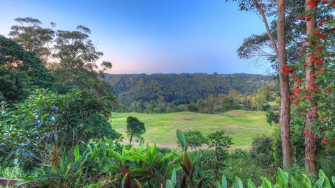 The Avenue At Montville Cottage - Whitsundays Accommodation 3
