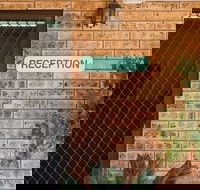 Clermont Country Motor Inn - Whitsundays Accommodation