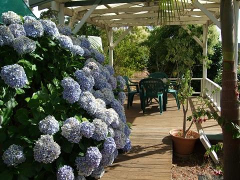 Nannup Riverview Cottage - Whitsundays Accommodation 3