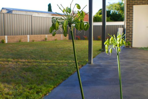 Maison Executive - Whitsundays Accommodation 3