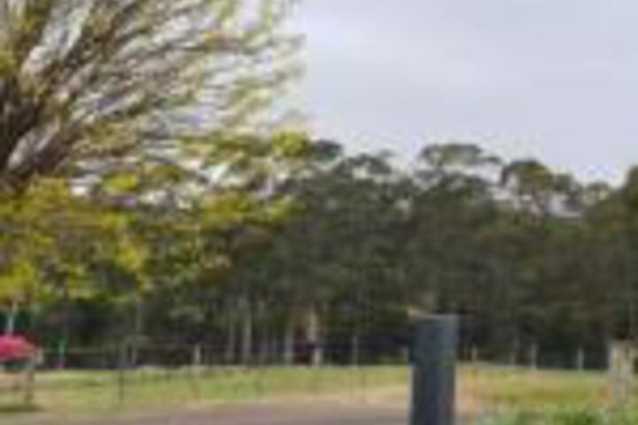 Winnaleah TAS Whitsundays Accommodation