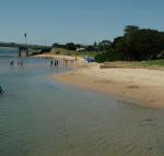 Black Dolphin Waterfront Apartment - Whitsundays Accommodation