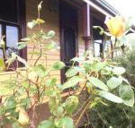 Albion Cottage - Whitsundays Accommodation