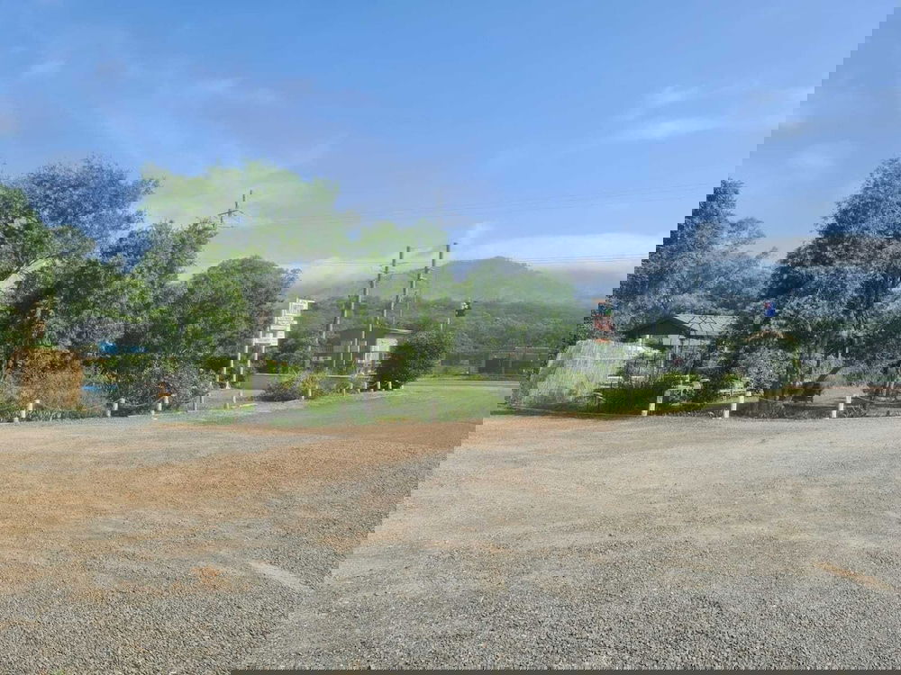 Ardglen NSW Whitsundays Accommodation