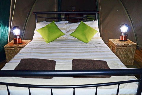 Nulla Nulla Farm Retreat - Whitsundays Accommodation 7