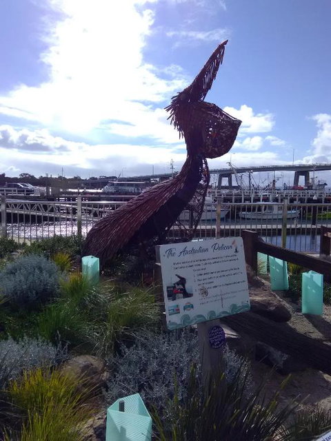 Beach Haven Caravan Park - Whitsundays Accommodation 3